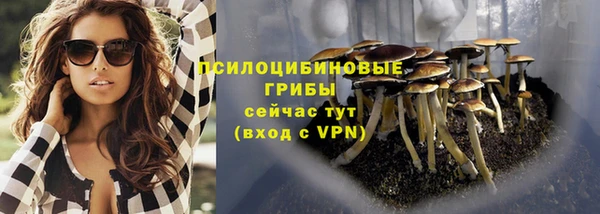 мет Армянск