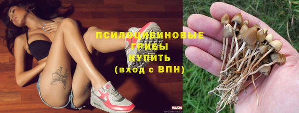 спайс Арсеньев