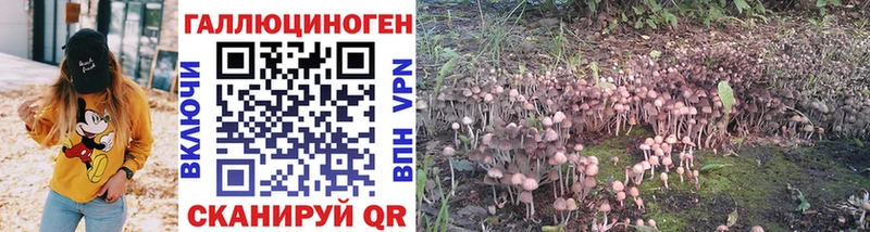 Купить закладки  Окуловка  Псилоцибиновые грибы мухоморы 